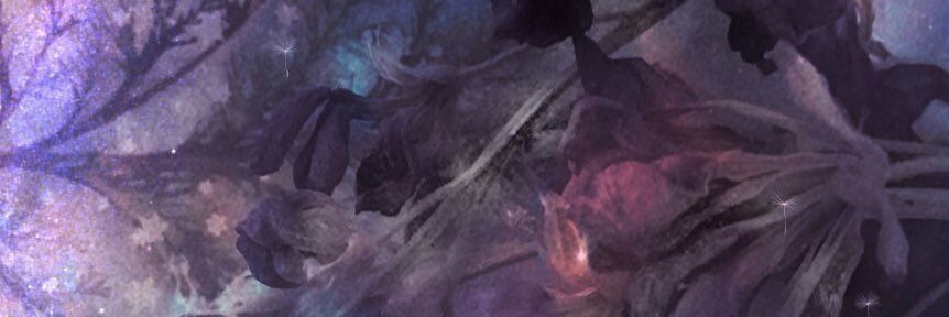 BongaMzelemu's profile banner image