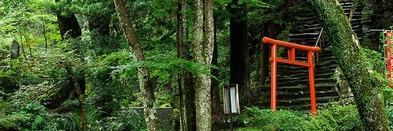 warau_akaoni's profile banner image