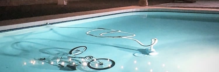 Dill banner