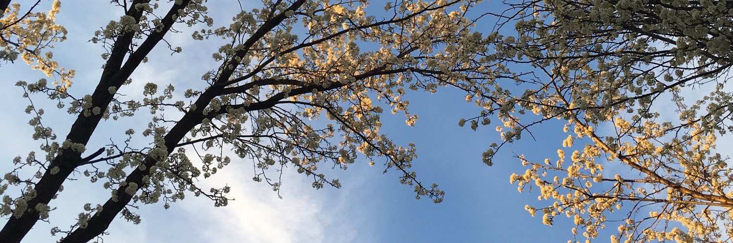 KynleeMaKenna's profile banner image
