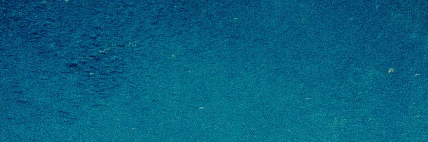 GrantSauer4's profile banner image