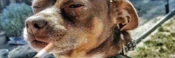 Río 🇺🇸🫩 banner