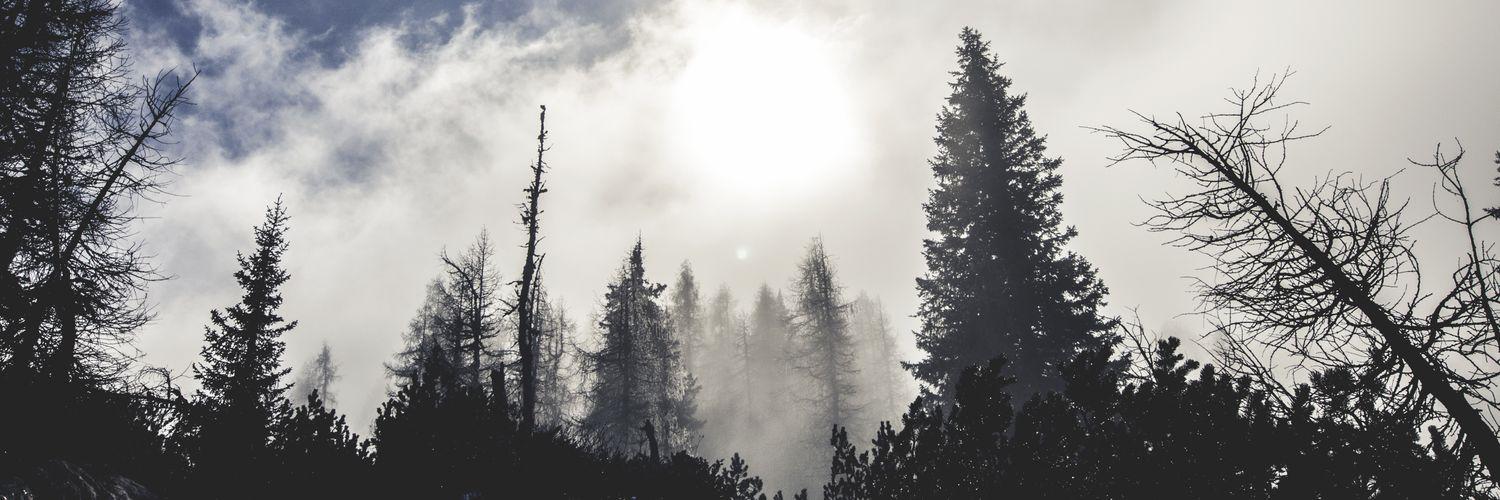 _fiogermi's profile banner image
