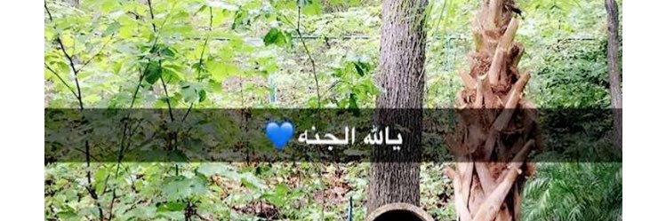Fajer29864's profile banner image