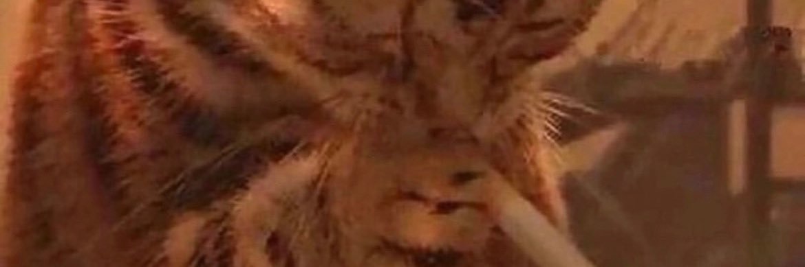 dhomy299's profile banner image