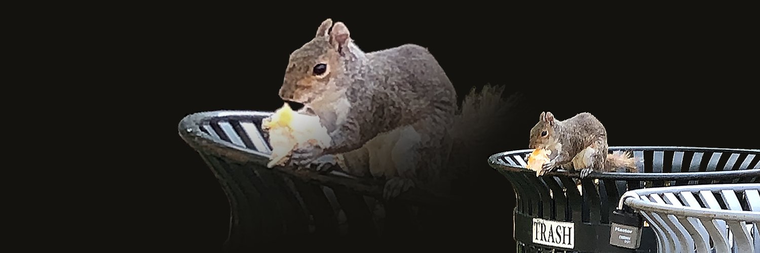 xtinariaa's profile banner image