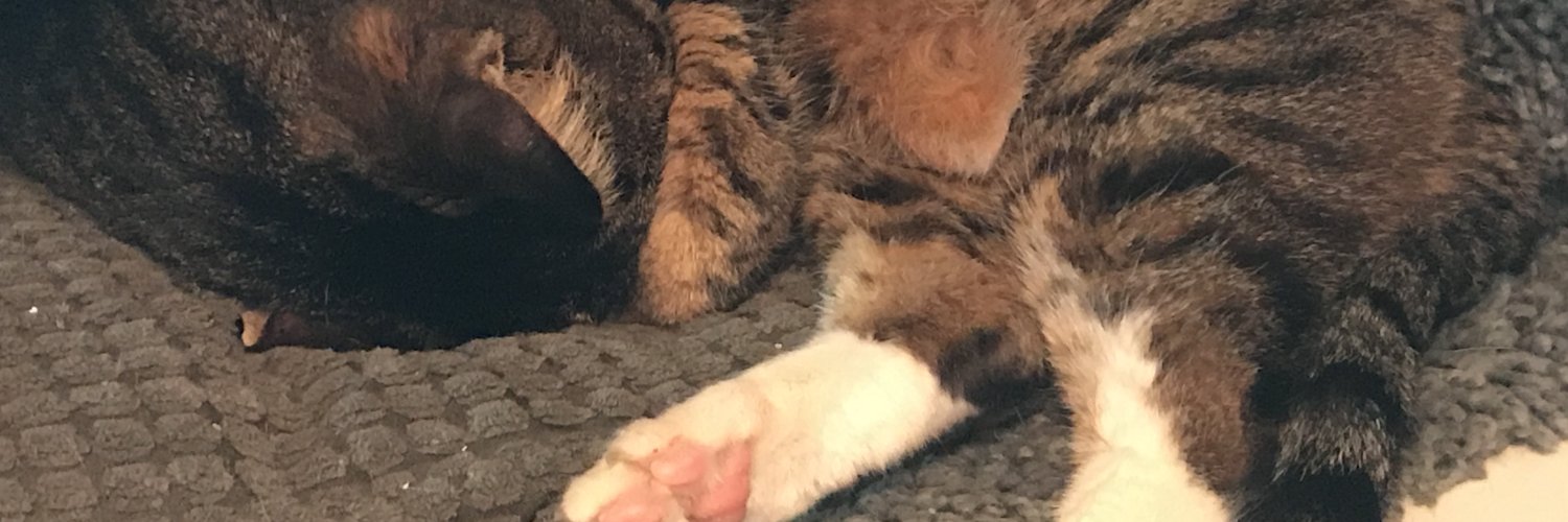 Ognas0's profile banner image