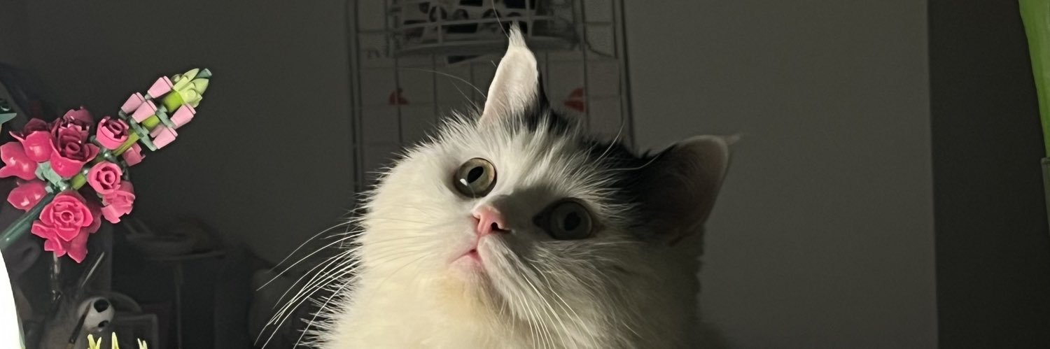 luvmarsie's profile banner image