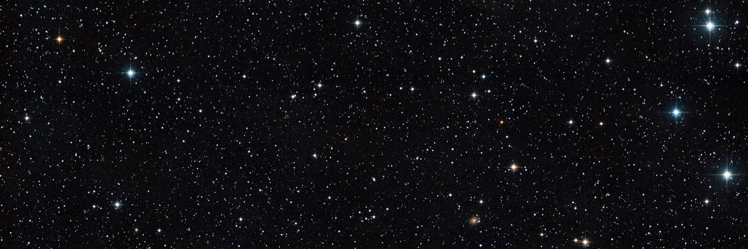mouselungs's profile banner image