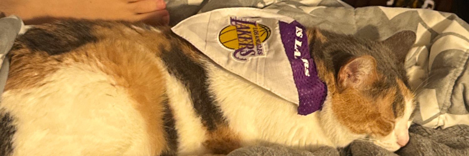 Apslatt's profile banner image