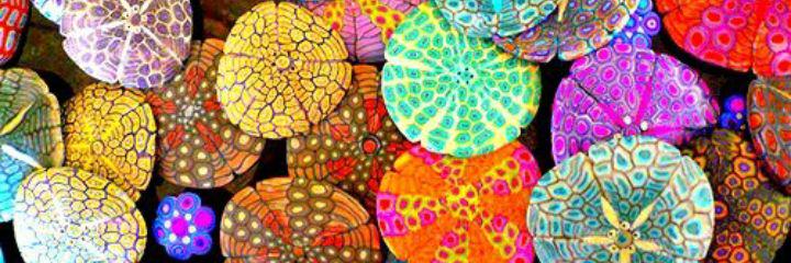 jimenasol55's profile banner image