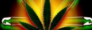 d199a6671bb34b0's profile banner image