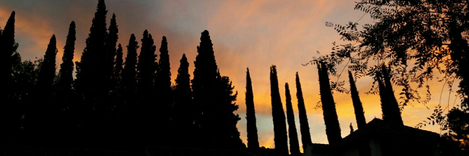 sar_torre's profile banner image