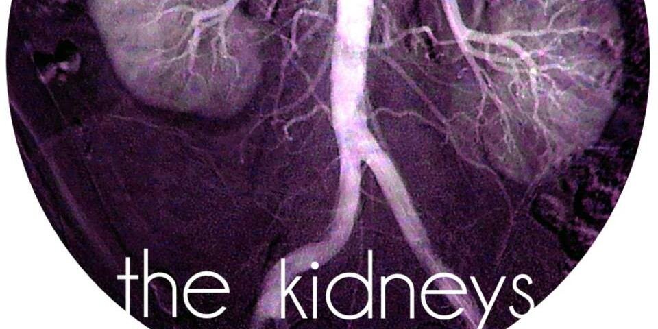 KidneysThe's profile banner image