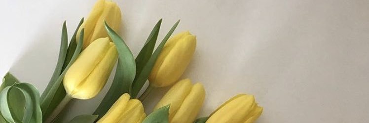 montzeronu's profile banner image