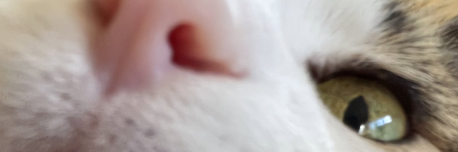 atrolli's profile banner image