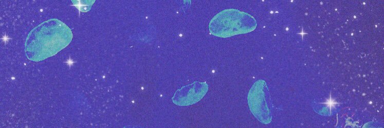 くらげ@固ツイ&プロフ必読 banner