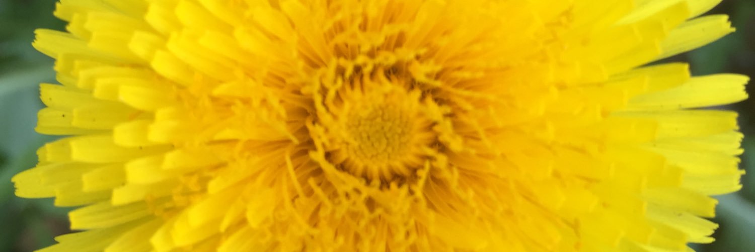 KaylaMarie__'s profile banner image