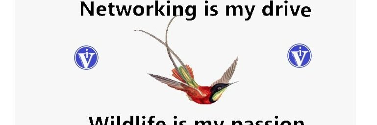 NigelPearcey's profile banner image