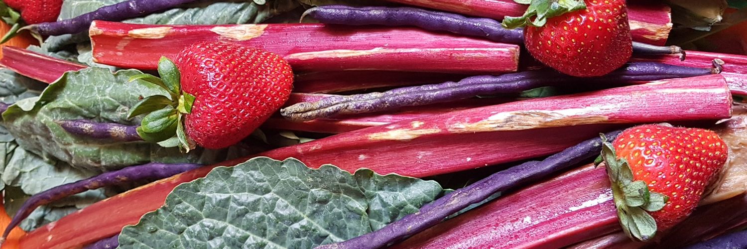 dkitchenbitchen's profile banner image