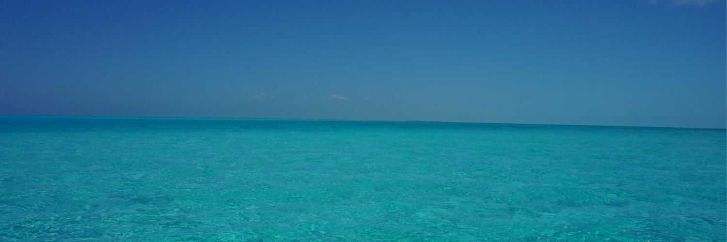 drleanda's profile banner image