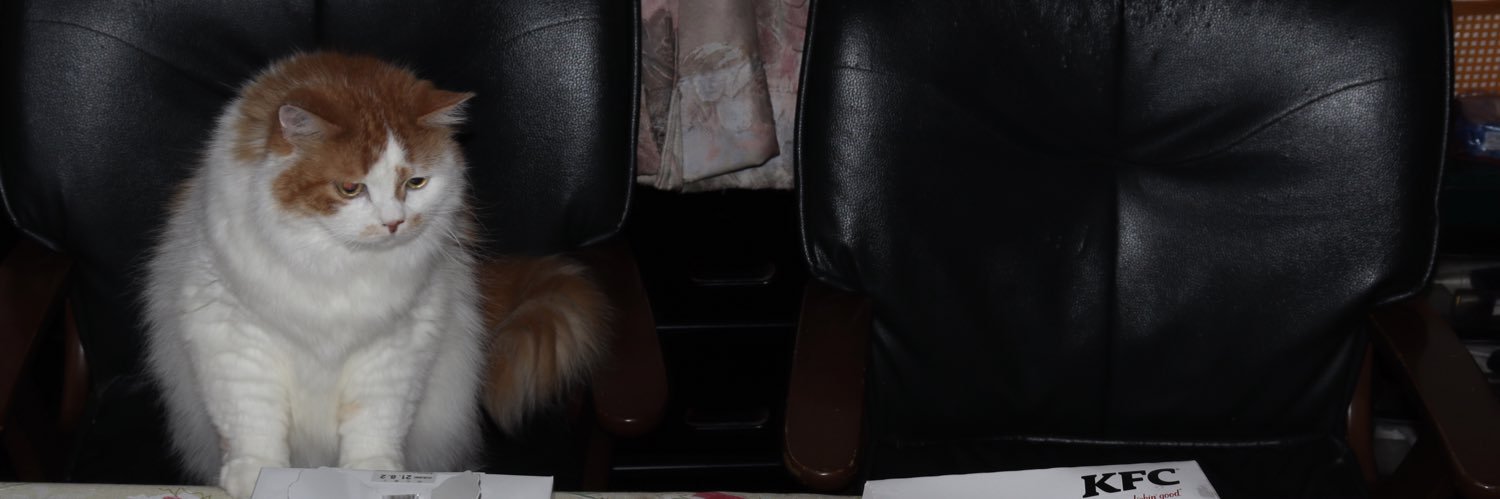 Hayaccha_2082's profile banner image