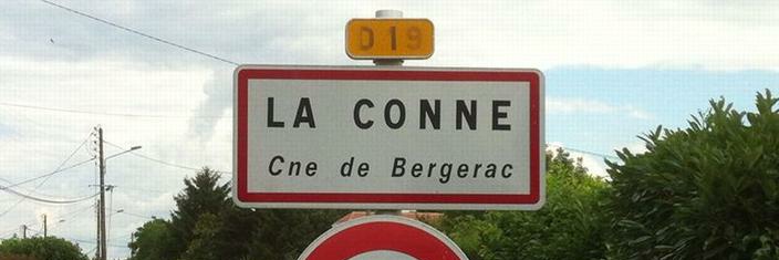 Caelum 🇵🇸 banner