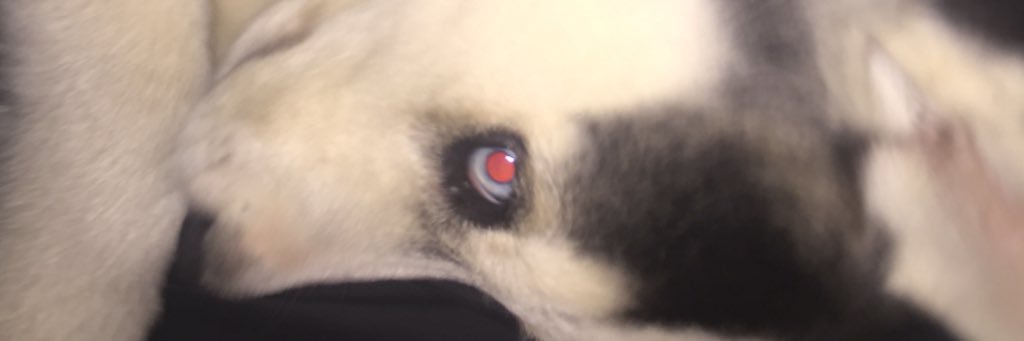 DawsJB's profile banner image