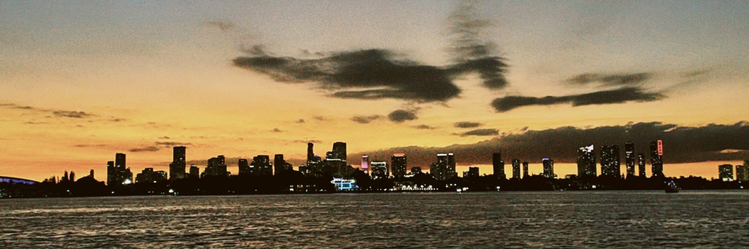 mxrisvlg's profile banner image