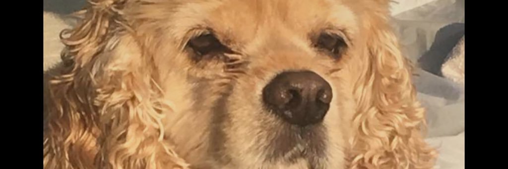 BrettAlltop13's profile banner image