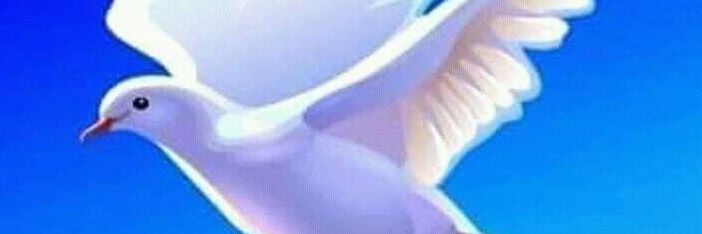 krisodogwu's profile banner image