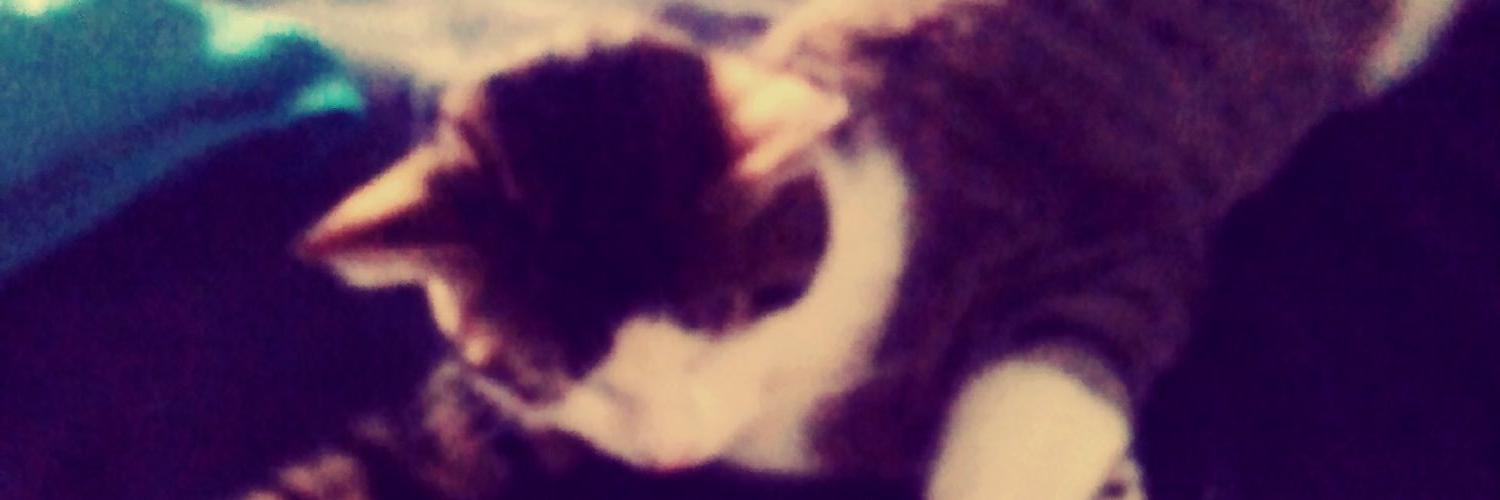 ducassea37's profile banner image