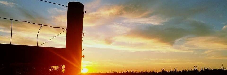 Victorius_Rebel's profile banner image