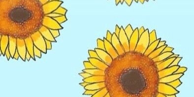 kaseyyhutton's profile banner image