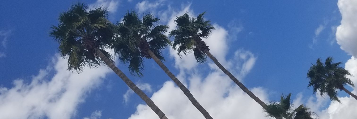 daityG's profile banner image