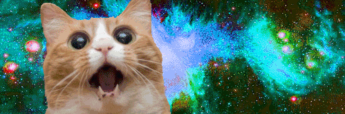 __weeeeeeeeeeee's profile banner image