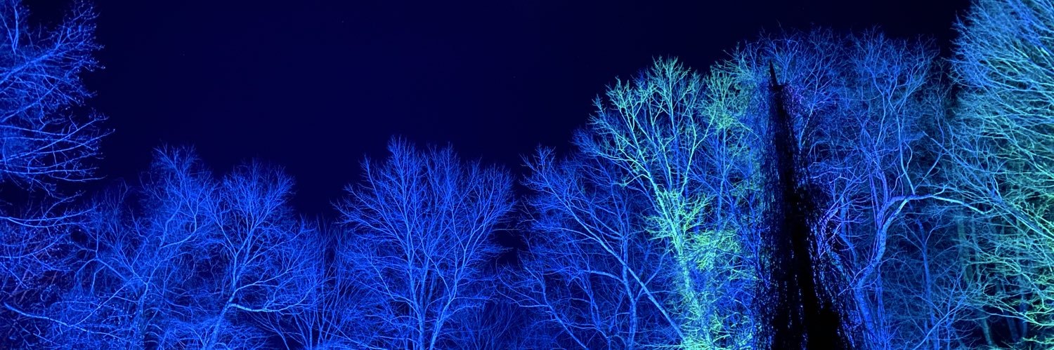 AmberKasses's profile banner image