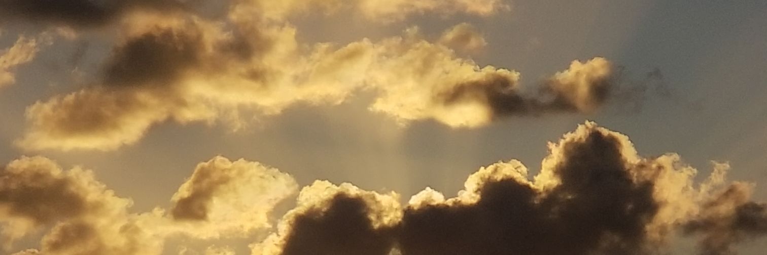 WatachanL's profile banner image