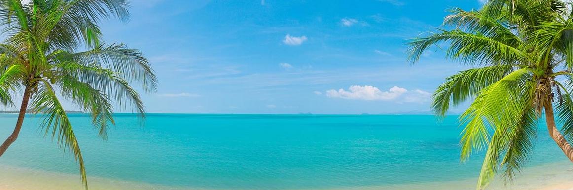 angarafish's profile banner image