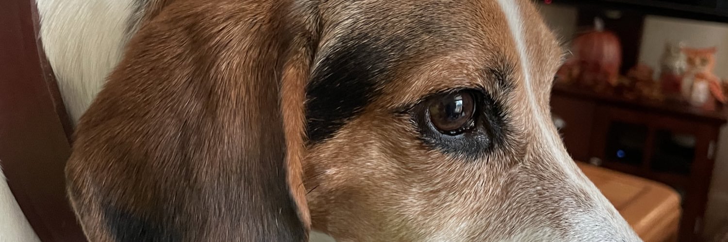 jes100369's profile banner image