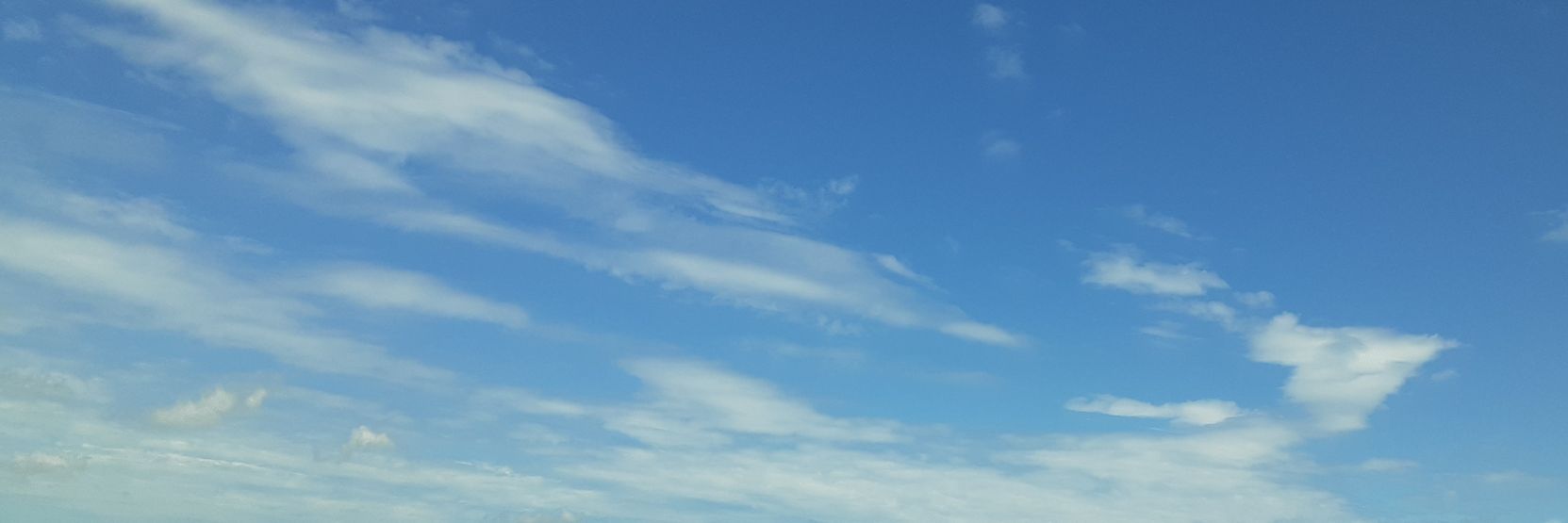 Sugar_ARS_5's profile banner image