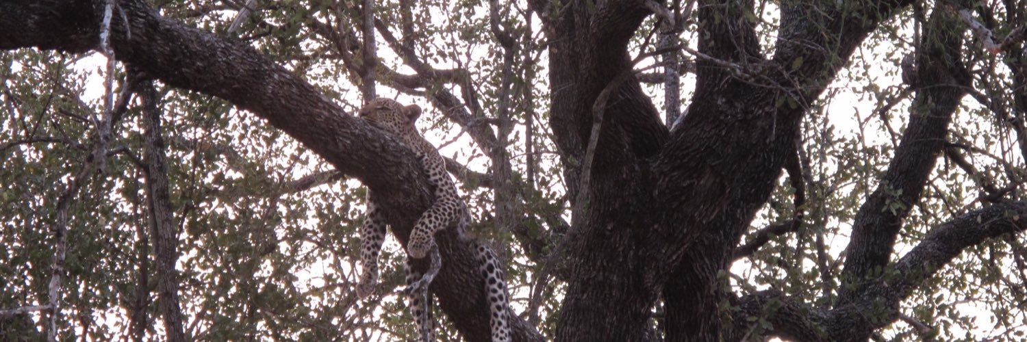 Rod Macdonald banner