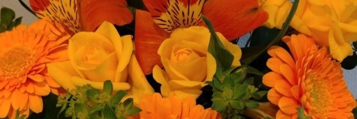 なまけもの banner