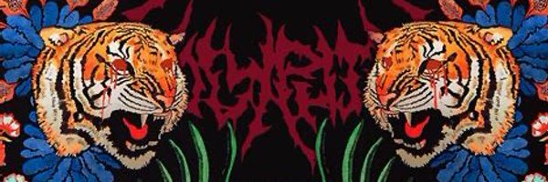 Rafaellcord Profile Banner