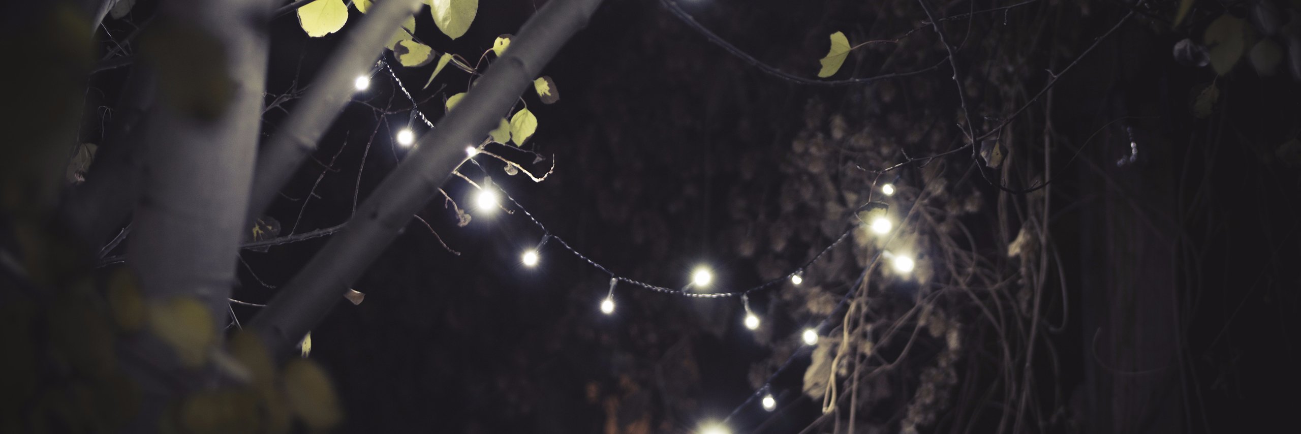 MusteedBlog's profile banner image