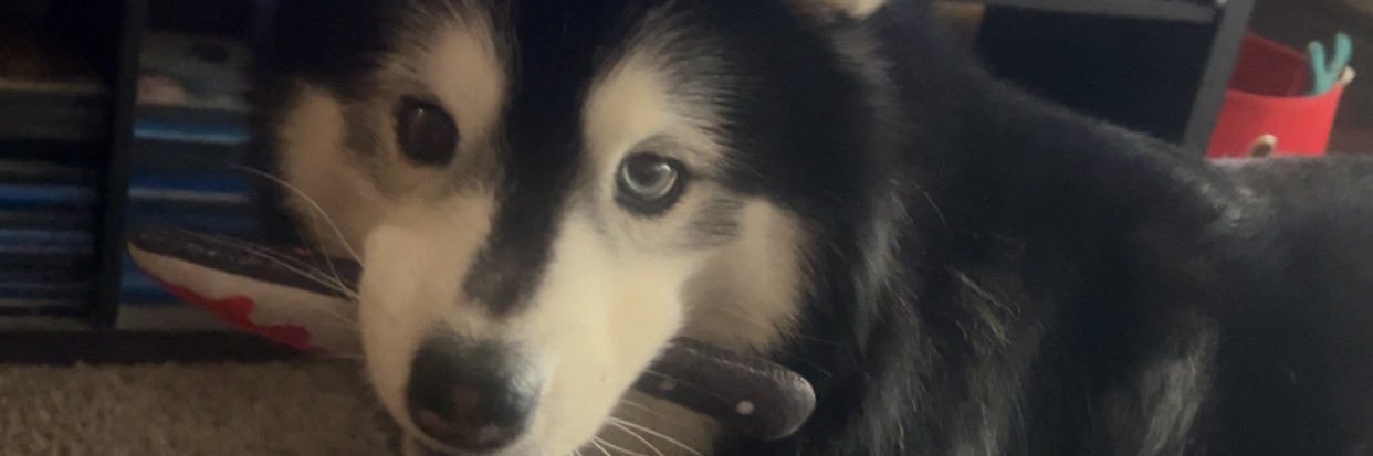 RobertJM_5's profile banner image