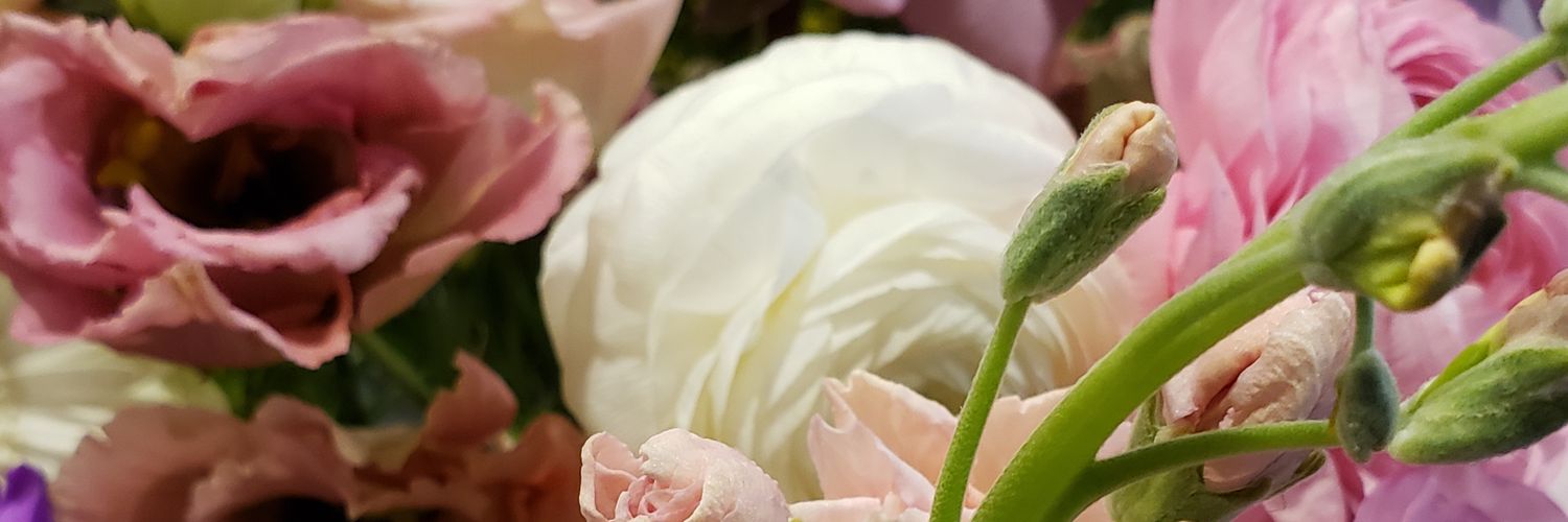 corkytrot's profile banner image
