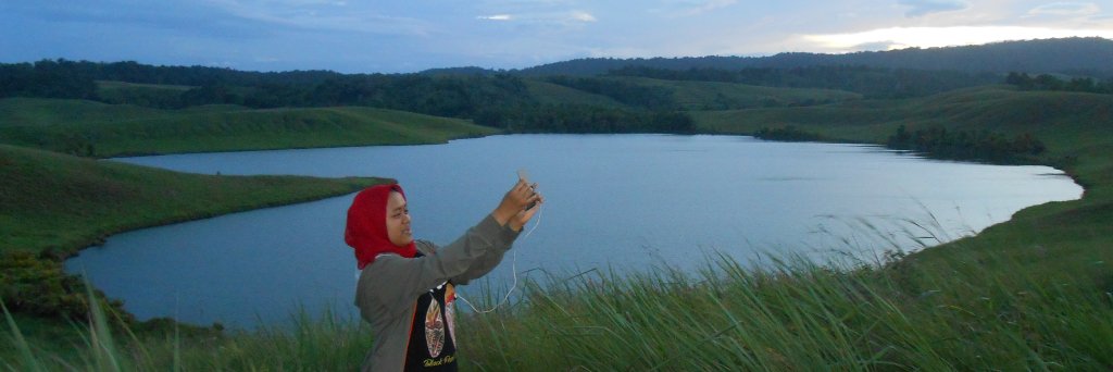 DiNPrima's profile banner image