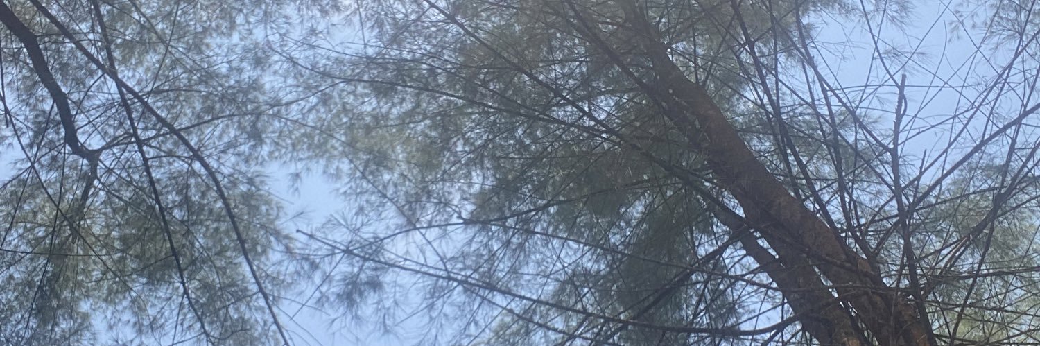 nuralzya's profile banner image