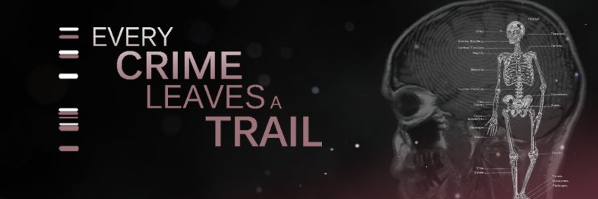 LocardsPrincipl's profile banner image